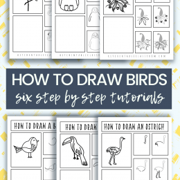 Free Bird Drawing Lessons. #freehomeschooldeals #fhdhomeschoolers #learningtodraw #drawingbirdsforkids #drawinglessonsforkids