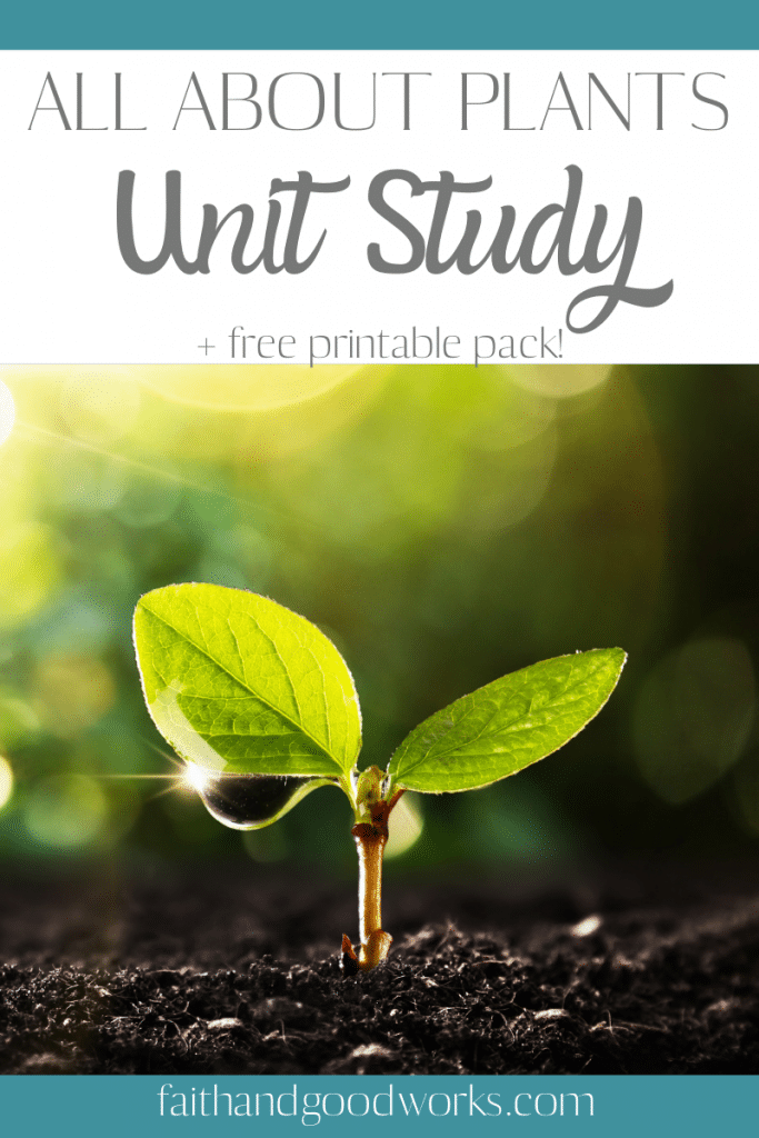 Plants Unit Study and Worksheets. #freehomeschooldeals #fhdhomeschoolers #learningaboutplants #freeplantsunitstudy #plantsworksheets