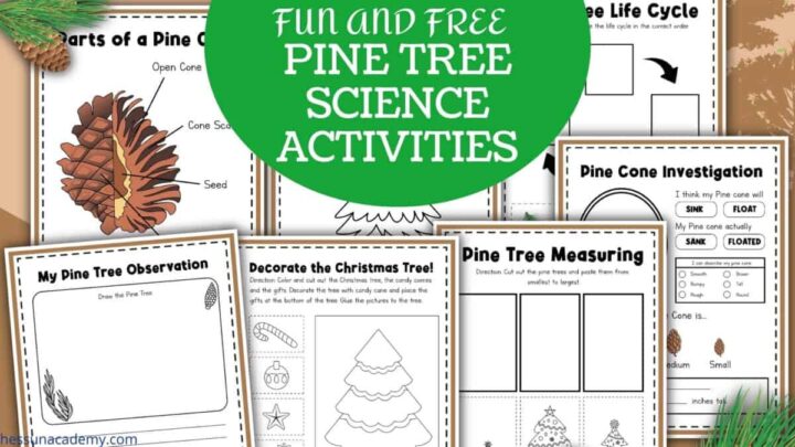 pine tree science worksheets free homeschool deals c