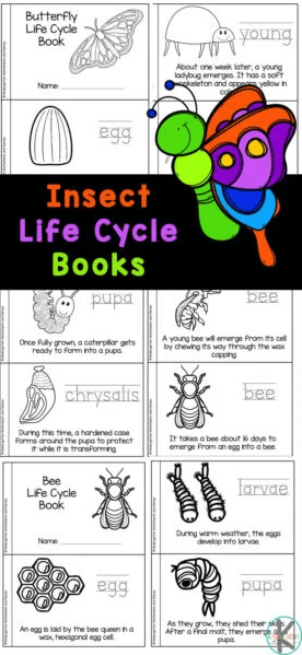 Insect Life Cycle Printables Free Homeschool Deals