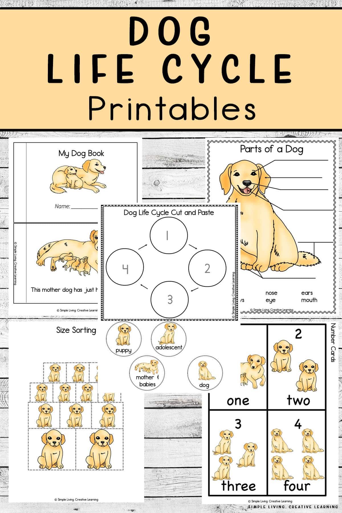 Dog Life Cycle Worksheets | Free Homeschool Deals © Dog Life Cycle Worksheets | Free Homeschool Deals ©