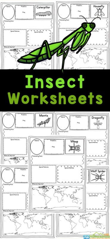 Insects, Free Full-Text