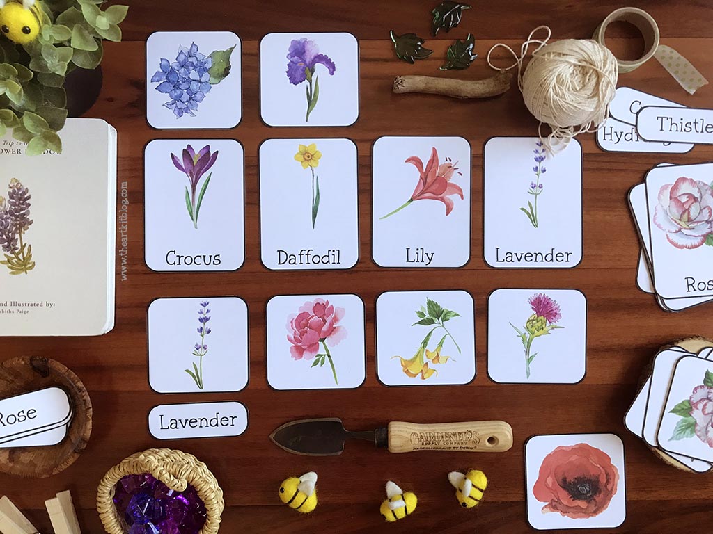 printable-flower-cards-free-homeschool-deals