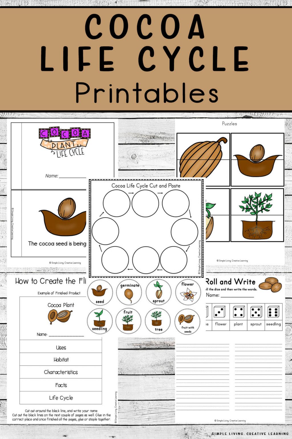Cocoa Bean Life Cycle Free Homeschool Deals
