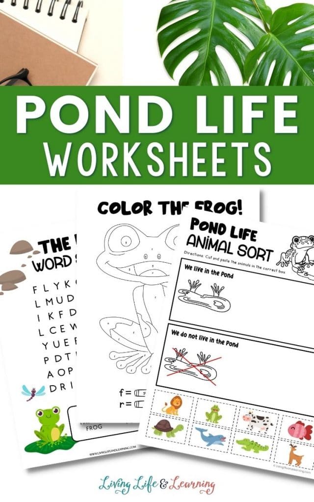 Pond Life Worksheets Free Homeschool Deals pond-life-worksheets-free-homeschool-deals