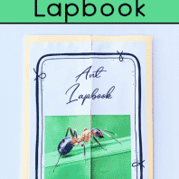 Lapbooks Archives | Free Homeschool Deals