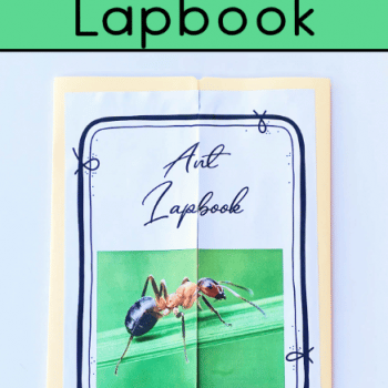 Lapbooks Archives | Free Homeschool Deals