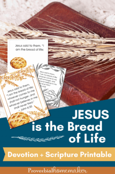 Jesus Bread of Life Devotions | Free Homeschool Deals