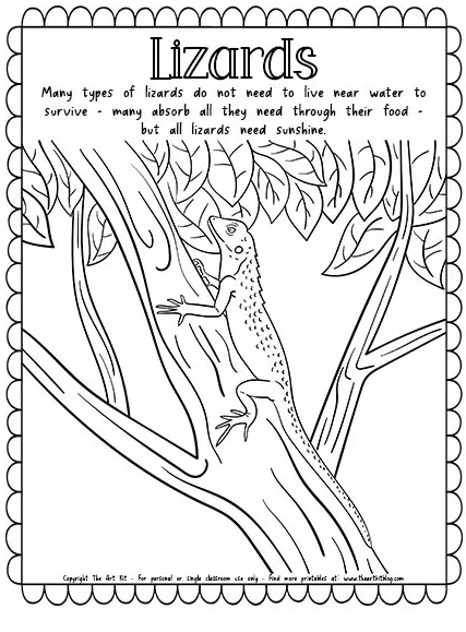 lizards coloring pages