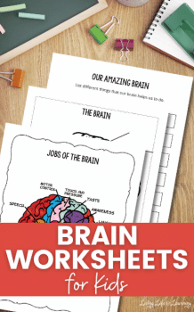 Brain Worksheets | Free Homeschool Deals