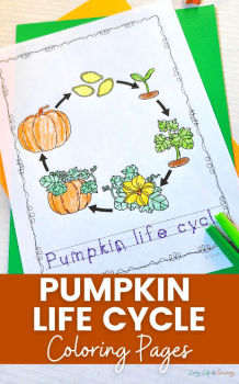 Pumpkin Life Cycle Page Free - Pumpkin Life Cycle 218x350 