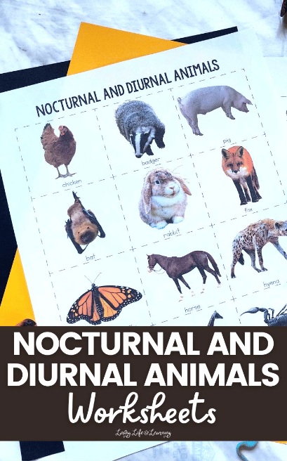 nocturnal-and-diurnal-animals-free-homeschool-deals