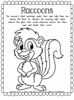 Racoon Coloring Page | Free Homeschool Deals