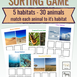 sample pages of Animal Habitat sorting pages