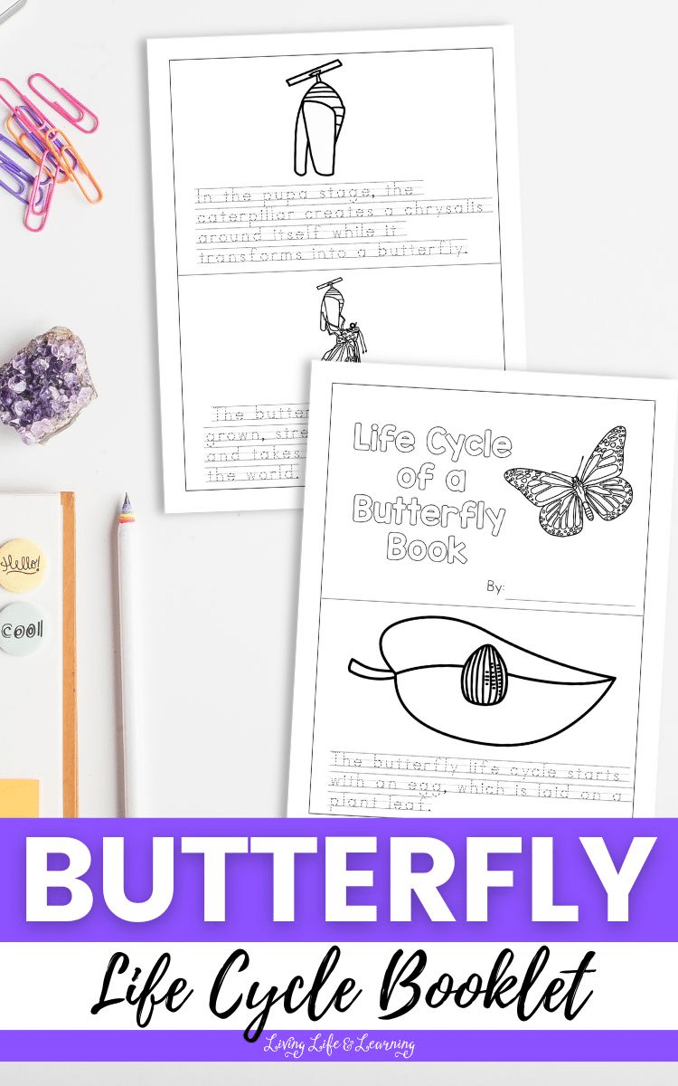 Butterfly Life Cycle Printable Pack Free Homeschool Deals
