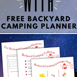 sample pages of the backyard camping planner