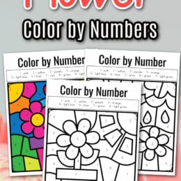 sample sheets of color-by-numbers flowers