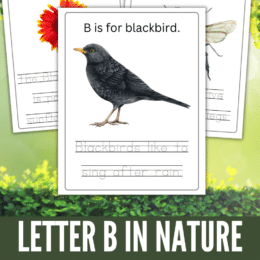 sample pages of the Letter B in Nature pack