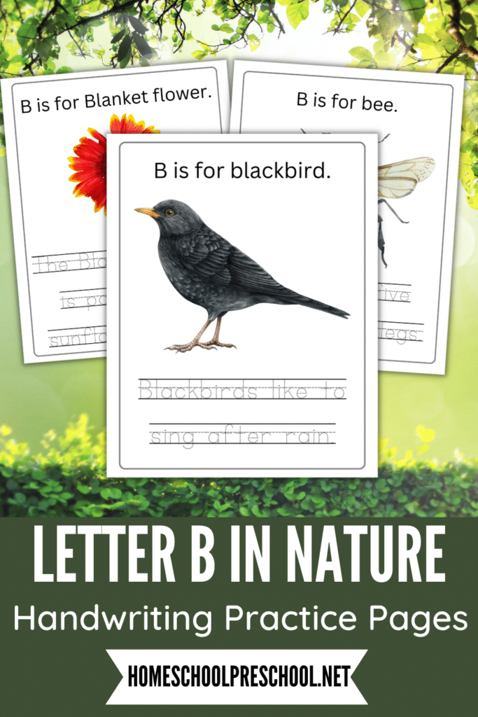 sample pages of the Letter B in Nature pack