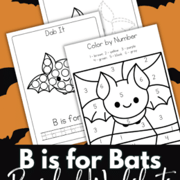 sample pages of bats worksheets for preschoolers