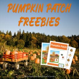 field of pumpkins and a small wagon filled with pumpkins in a pumpkin patch and overlay of pumpkin patch printable pack, plus "Pumpkin Patch Freebies" words