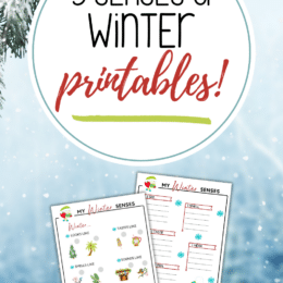 two screenshot sample pages of the 5 senses of winter printables