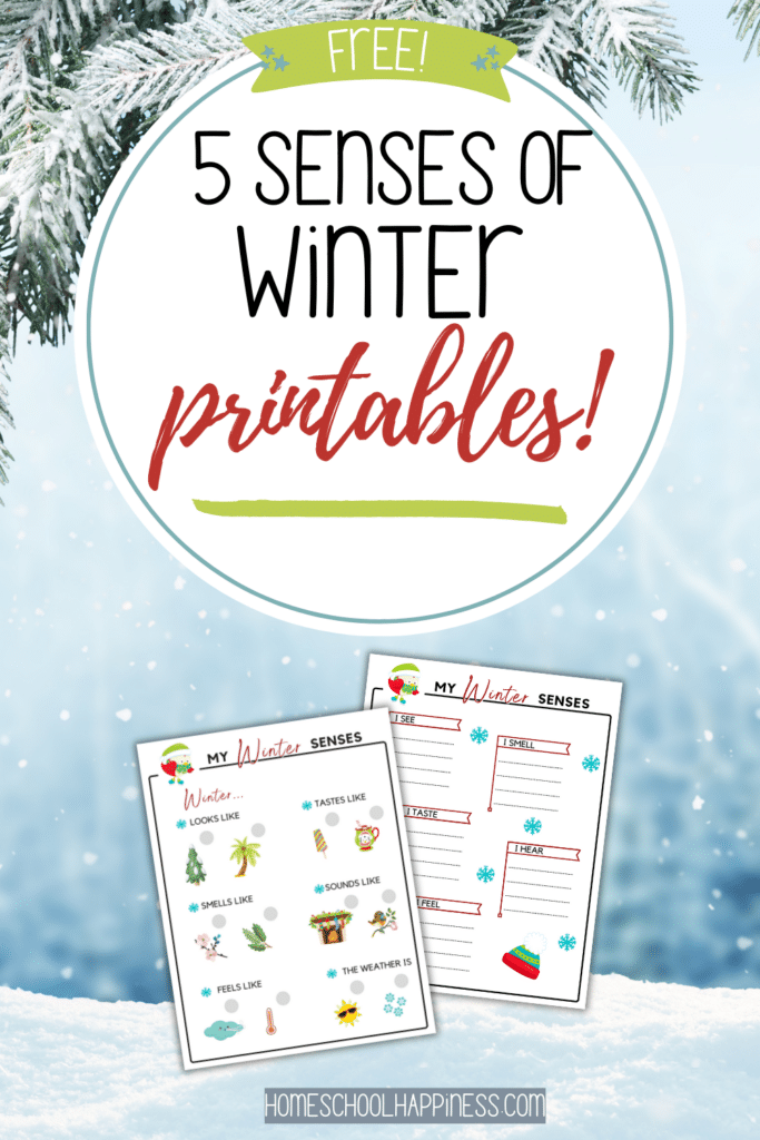 two screenshot sample pages of the 5 senses of winter printables