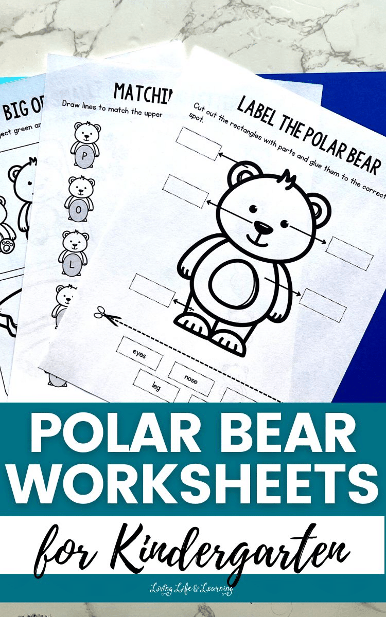 Polar Bear Worksheets Free Homeschool Deals Polar Bear Worksheets Free Homeschool Deals