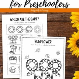 sample sunflower worksheets for preschoolers