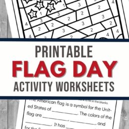 sample screenshot pages showing activity pages from the Flag Day Worksheets set