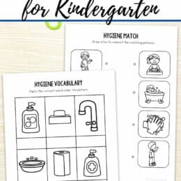 two sample screenshot pages from the Hygiene worksheets for kindergartners
