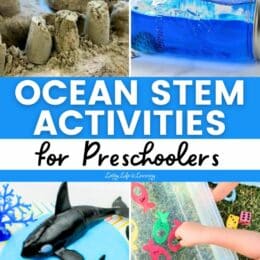 collage of ocean themed STEM activities for preschoolers