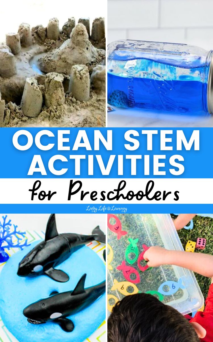 ocean-stem-activities-for-preschoolers-free-homeschool-deals