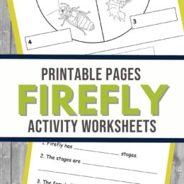 two sample worksheet screenshots from the firefly activity worksheets