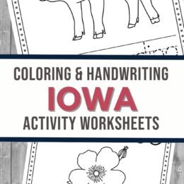 two screenshot sample images of the Iowa Activity Worksheets