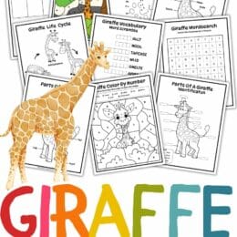 screenshot sample pages from the Giraffe activity set
