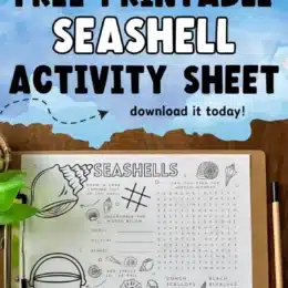 view of printed seashell activity sheet on a clipboard