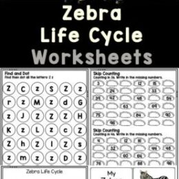 sample pages of activities from the Zebra Life Cycle worksheets