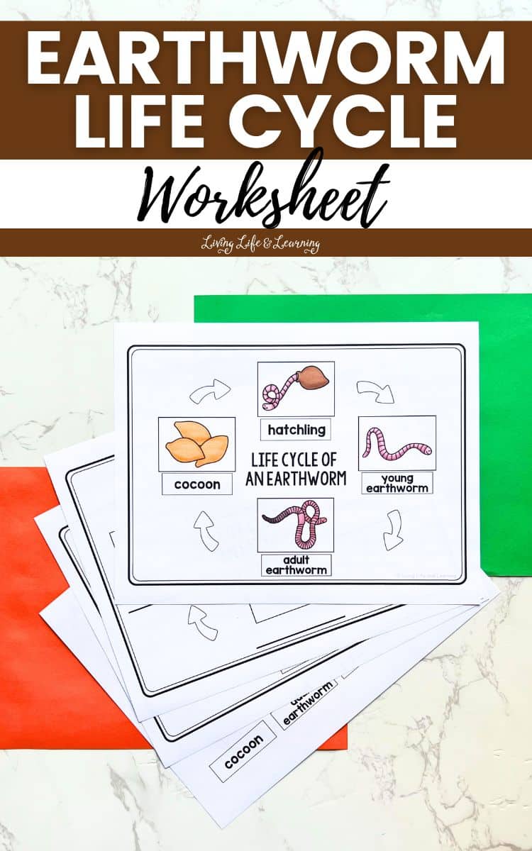 Earthworm Life Cycle Worksheet Free Homeschool Deals Earthworm Life Cycle Worksheet Free Homeschool Deals