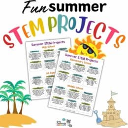 two screenshot pages of summer themed STEM projects
