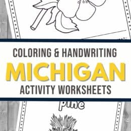 two images of the Michigan activity worksheets