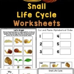 sample color images from the Printable Snail Life Cycle Worksheets