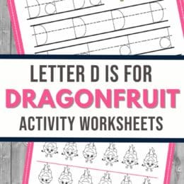 two sample practice pages for writing and recognizing the letter D