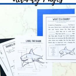 images of shark activity pages