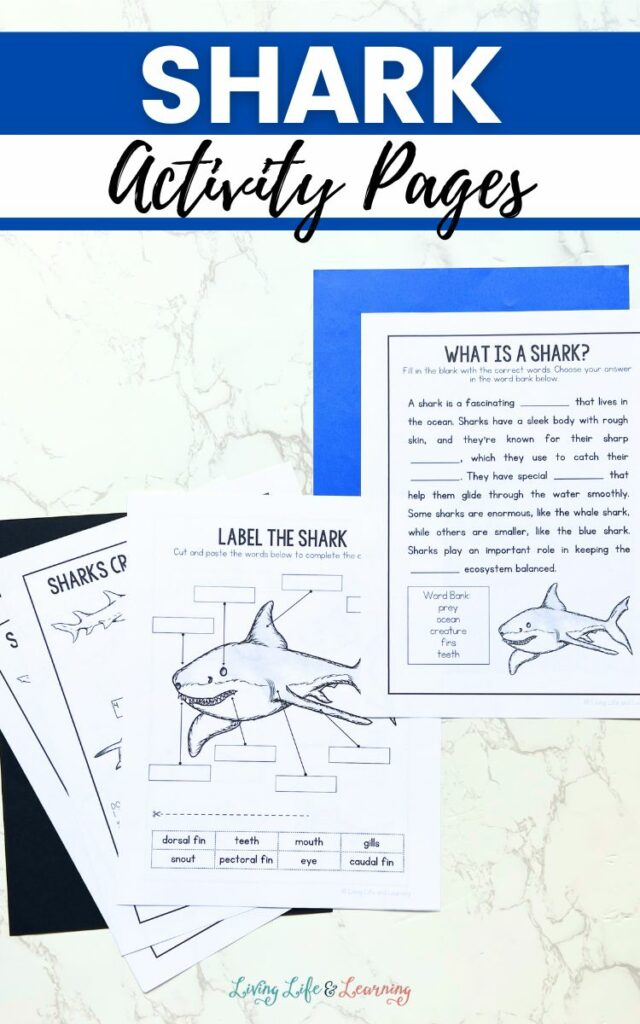 images of shark activity pages