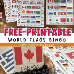 sample images of printables showing world flags BINGO cards