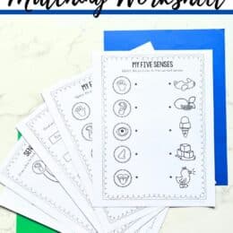 fanned out printed pages from the 5 senses worksheets on top of a marble table top with green and blue construction paper beneath fanned pages