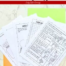 marble table top with lime green and bright orange papers on bottom with five fanned out pages from the farm animal worksheets