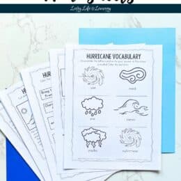 fanned out printed pages of Hurricane themed worksheets