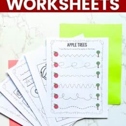 five printed pages fanned out over two light red and bright green papers